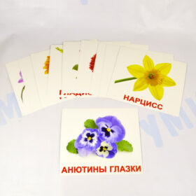 вундеркинд